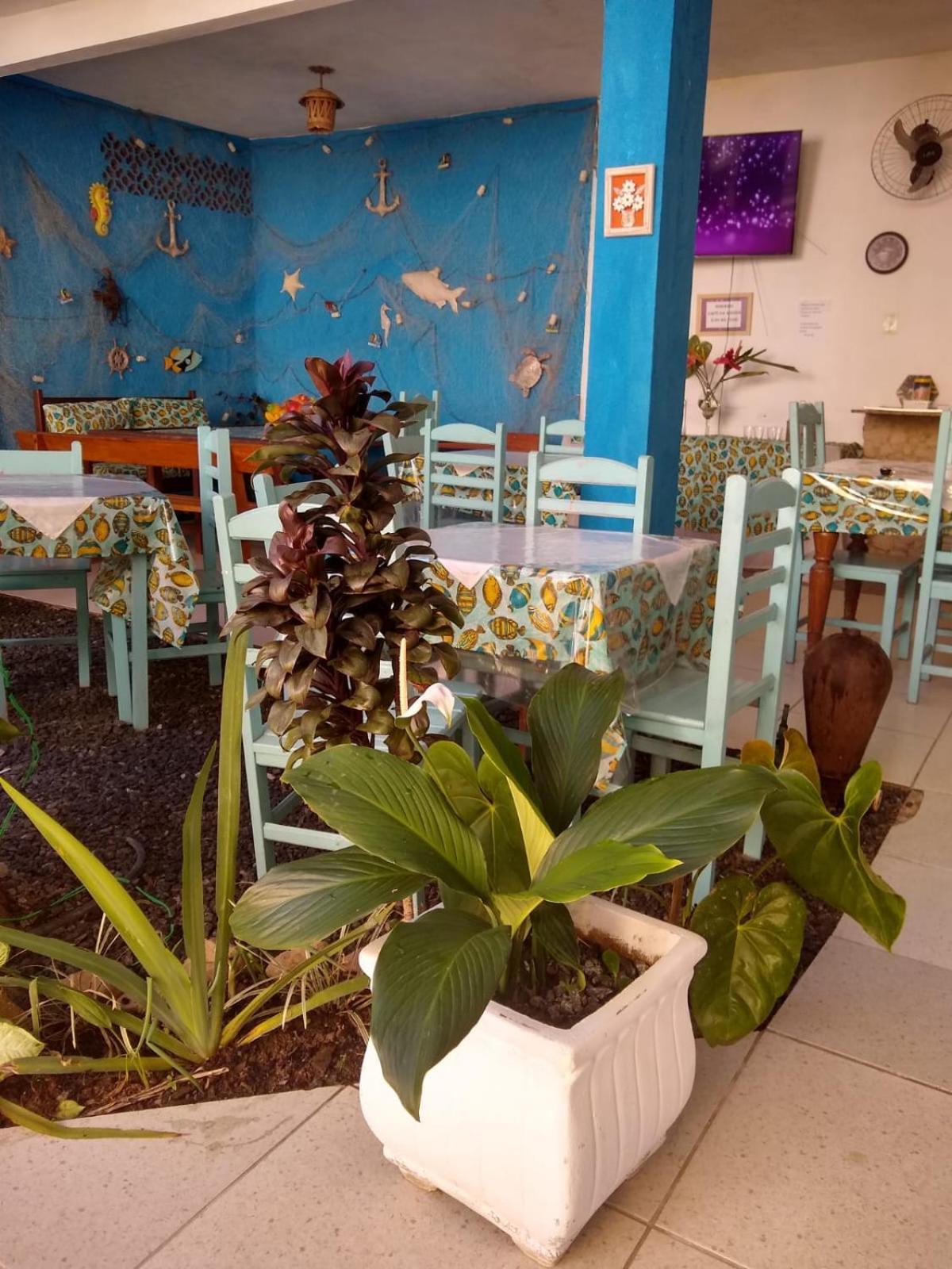 Pousada Florescer Araquari Exterior foto